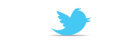 Twitter Icon