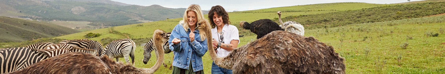 Friends feed emus and zebras on vacation