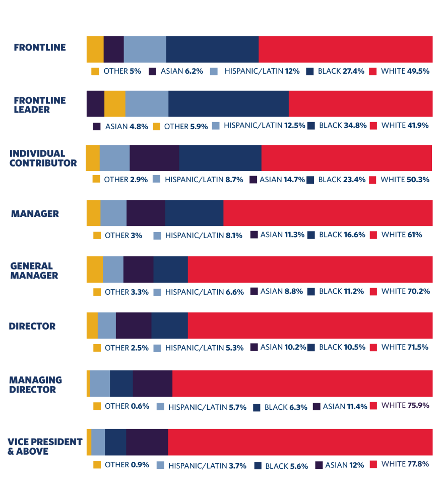 Gráfico de origen étnico de los empleados por nivel de cargo