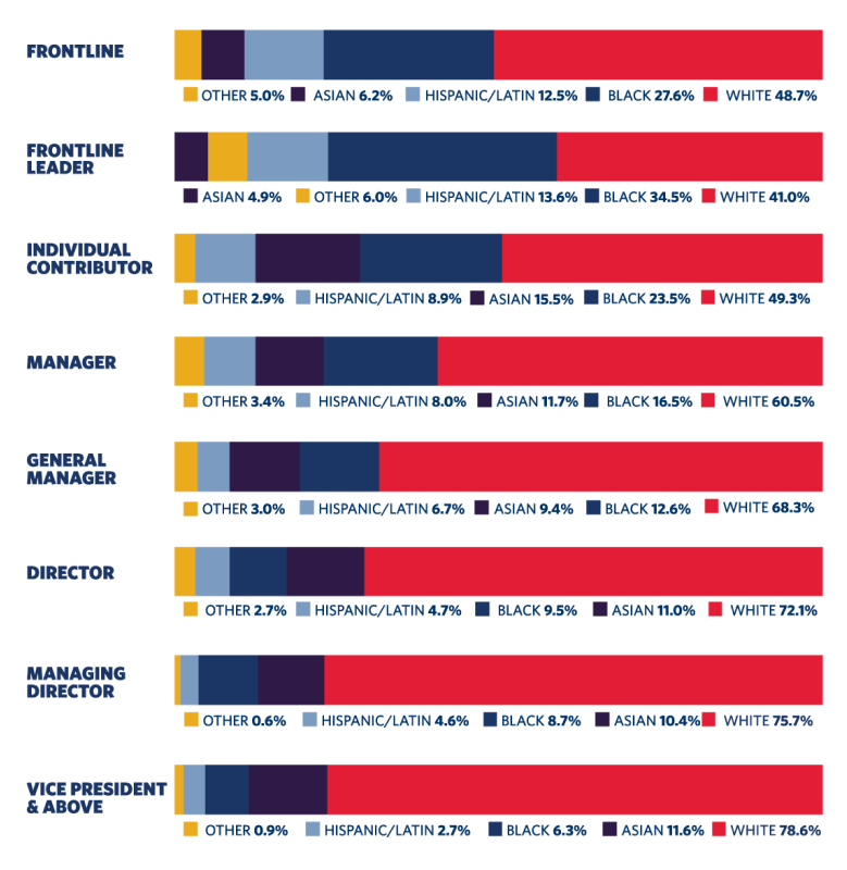 Gráfico de origen étnico de los empleados por nivel de cargo