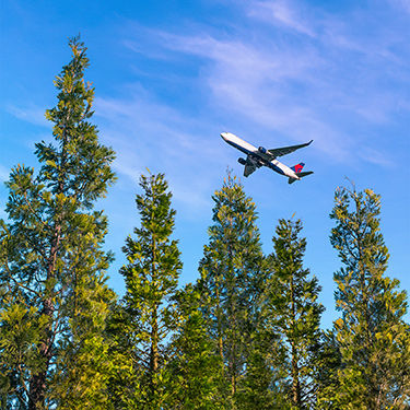 达美飞机飞过树木