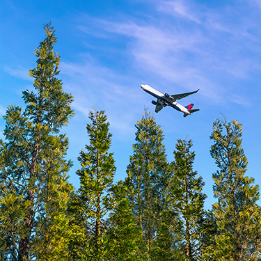 Aeromobile Delta sugli alberi