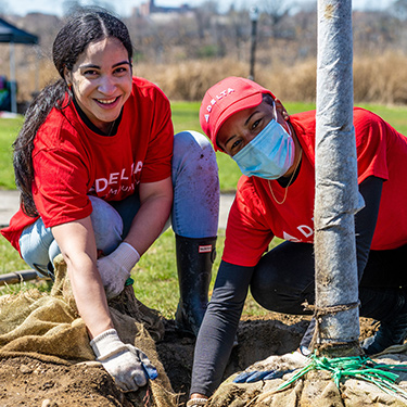 Funcionários plantando árvores