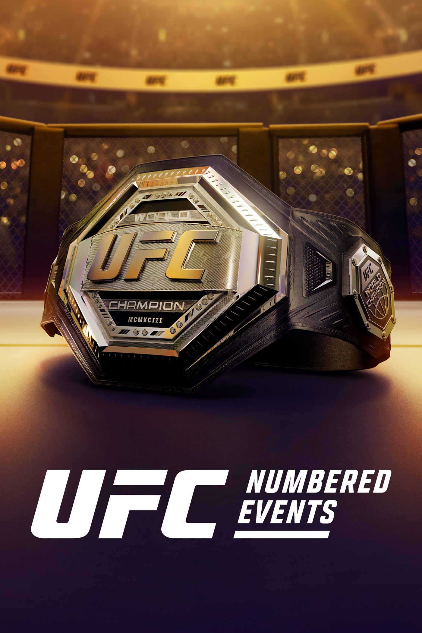 ufc poster