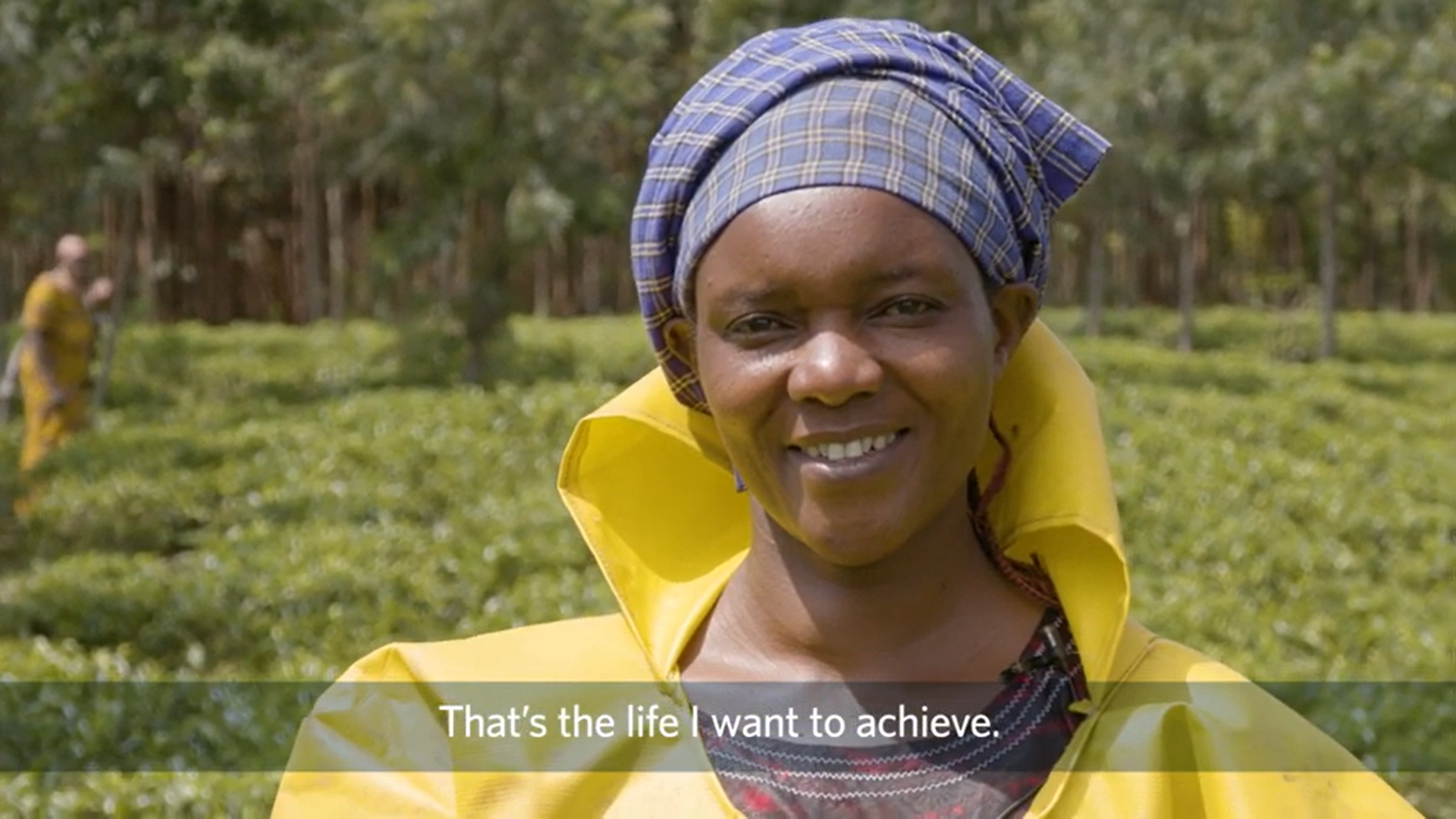 Los clientes de Delta ahora pueden beber el mejor té de su clase de Thrive Farmers