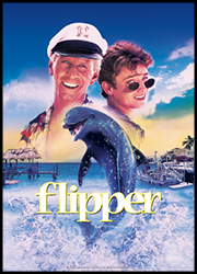 Flipper Affiche Flipper