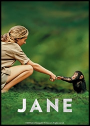 Jane Poster