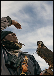 Game Hawker Póster de Game Hawker