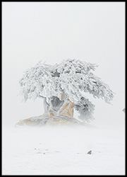 Treeline Treeline Poster