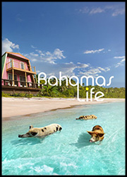 Bahamas Life Bahamas Life Poster