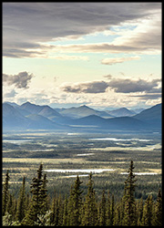The Refuge The Refuge Poster