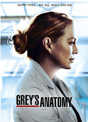 《實習醫生》(Grey's Anatomy) 《實習醫生》海報