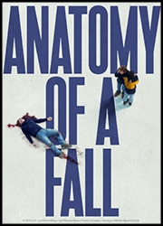 Anatomy of a Fall Poster