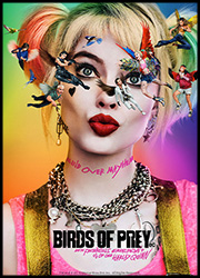 Birds of Prey Birds of Prey Poster