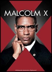 Malcolm X Poster