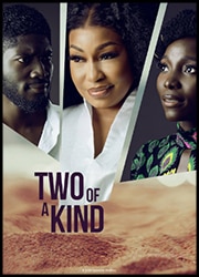 Two of a Kind 포스터