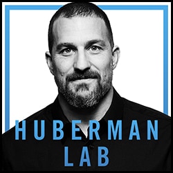 Huberman Lab Poster