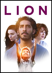 Lion Poster