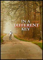 《In a Different Key》海報