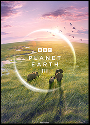 Affiche Planète Terre III