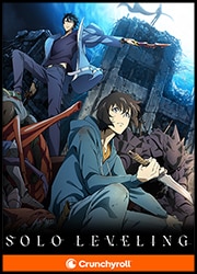 Solo Leveling Poster