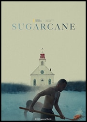 Sugarcane Poster