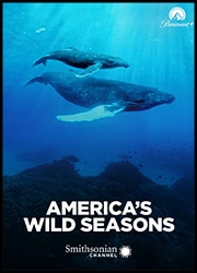 America's Wild Seasons Poster