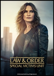 Law and Order: SVU Poster