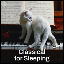 Classical For Sleeping Poster
