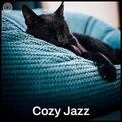 Cozy Jazz Poster