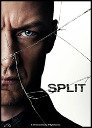 Split Split Poster