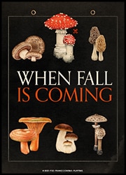 When Fall is Coming When Fall is Coming Poster