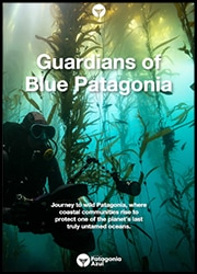 Guardians of Blue Patagonia Guardians of Blue Patagonia Poster