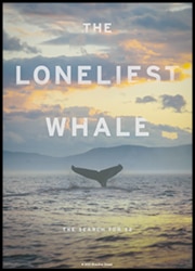 The Loneliest Whale: The Search for 52 The Loneliest Whale: The Search for 52 Poster