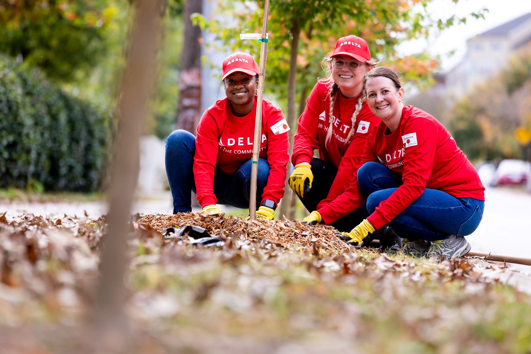 Employees Planting Trees