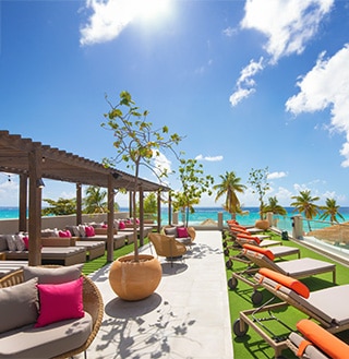 Outdoor restaurant with plants and colorful signs. 
