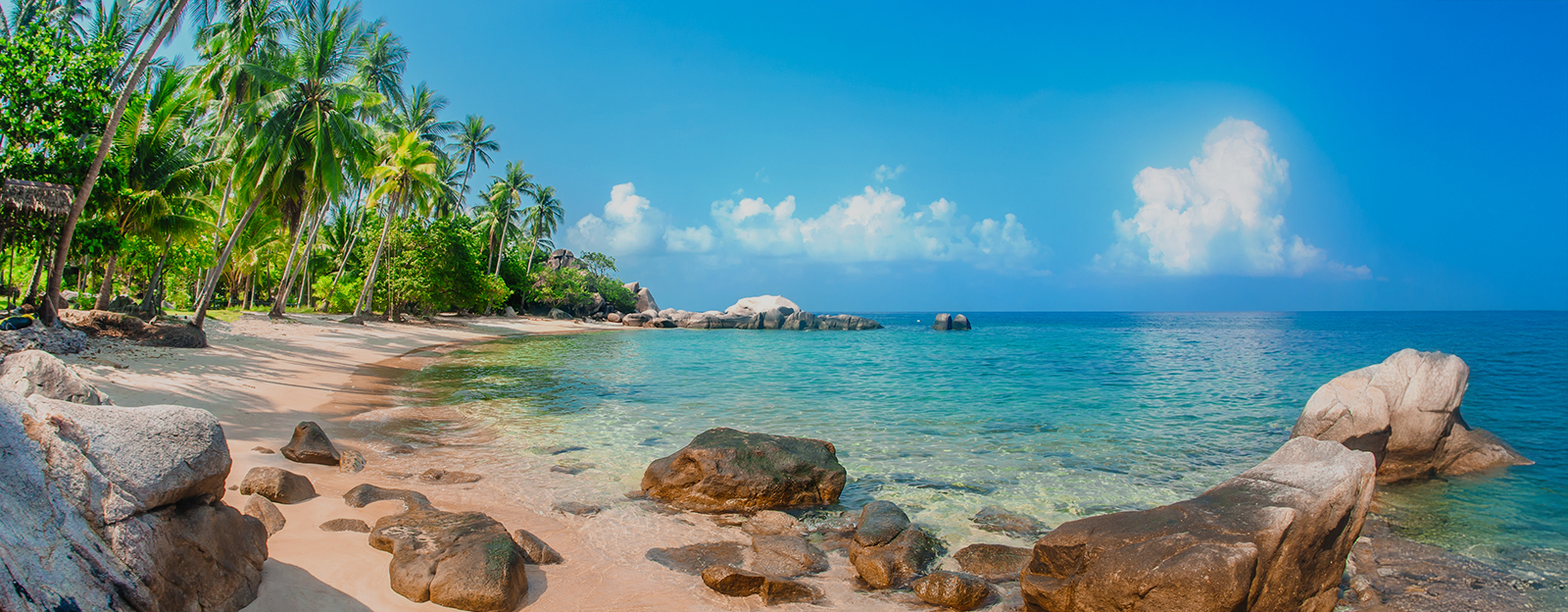 Delta Vacations Background Image