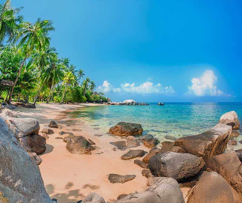 Delta Vacations Background Image