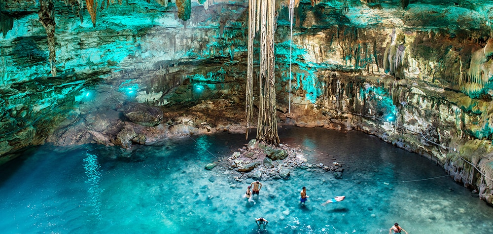 Sea turtle swimming in crystal clear turquoise waters near Cancun, Mexico. 