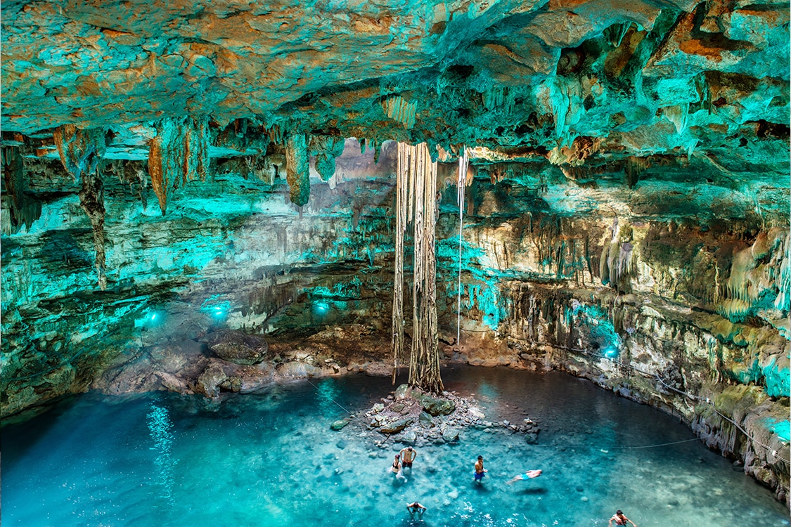 Sea turtle swimming in crystal clear turquoise waters near Cancun, Mexico. 