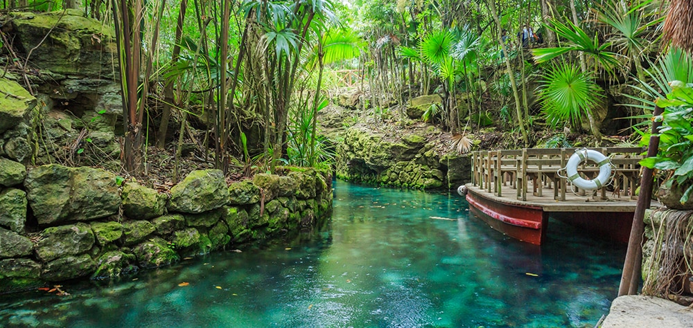Underground river surrounded by lush jungle vegetation in Cancun, Mexico. 
