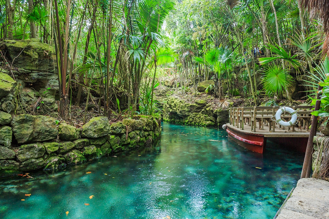 Underground river surrounded by lush jungle vegetation in Cancun, Mexico. 