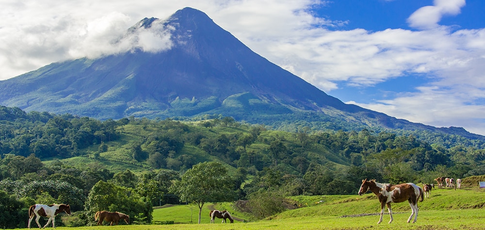 Arenal Volcano rising above lush green hills with grazing cattle in Costa Rica. 