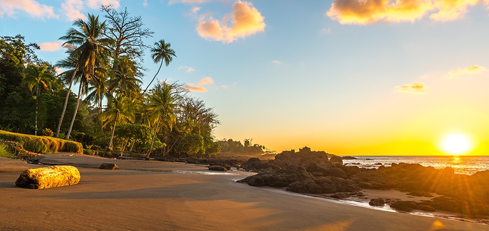 Golden sunset over a palm-lined beach in Costa Rica with rocky shoreline and ocean waves. 