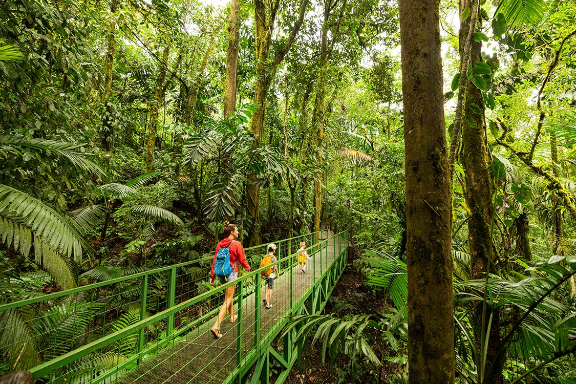 Travelers walking across a rainforest canopy bridge surrounded by lush tropical greenery. 