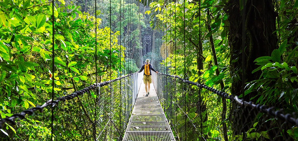 A traveler walking across a hanging bridge surrounded by lush rainforest in Costa Rica. 