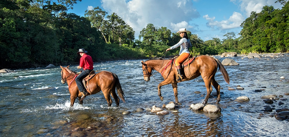 Travelers horseback riding across a river in Costa Rica surrounded by lush forest. 