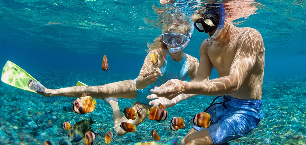 Snorkelers swimming with tropical fish in clear blue ocean water. 