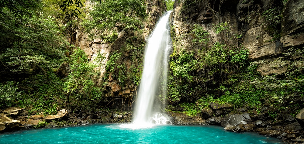 Waterfall cascading into a turquoise pool surrounded by lush tropical rainforest. 
