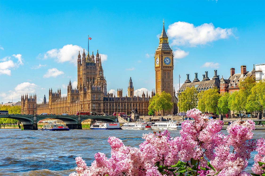 Big Ben and the Palace of Westminster with River Thames, boats, and spring flowers in London on a sunny day. 